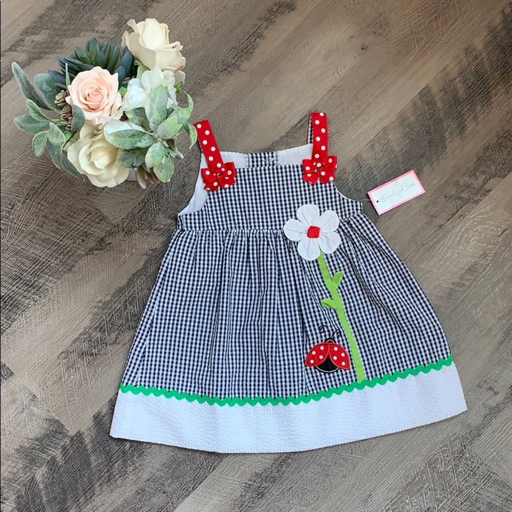🐞NWT Emily Rose Gingham Ladybug Dress